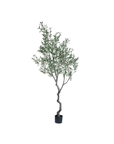 Olive Tree (8') - Artificial