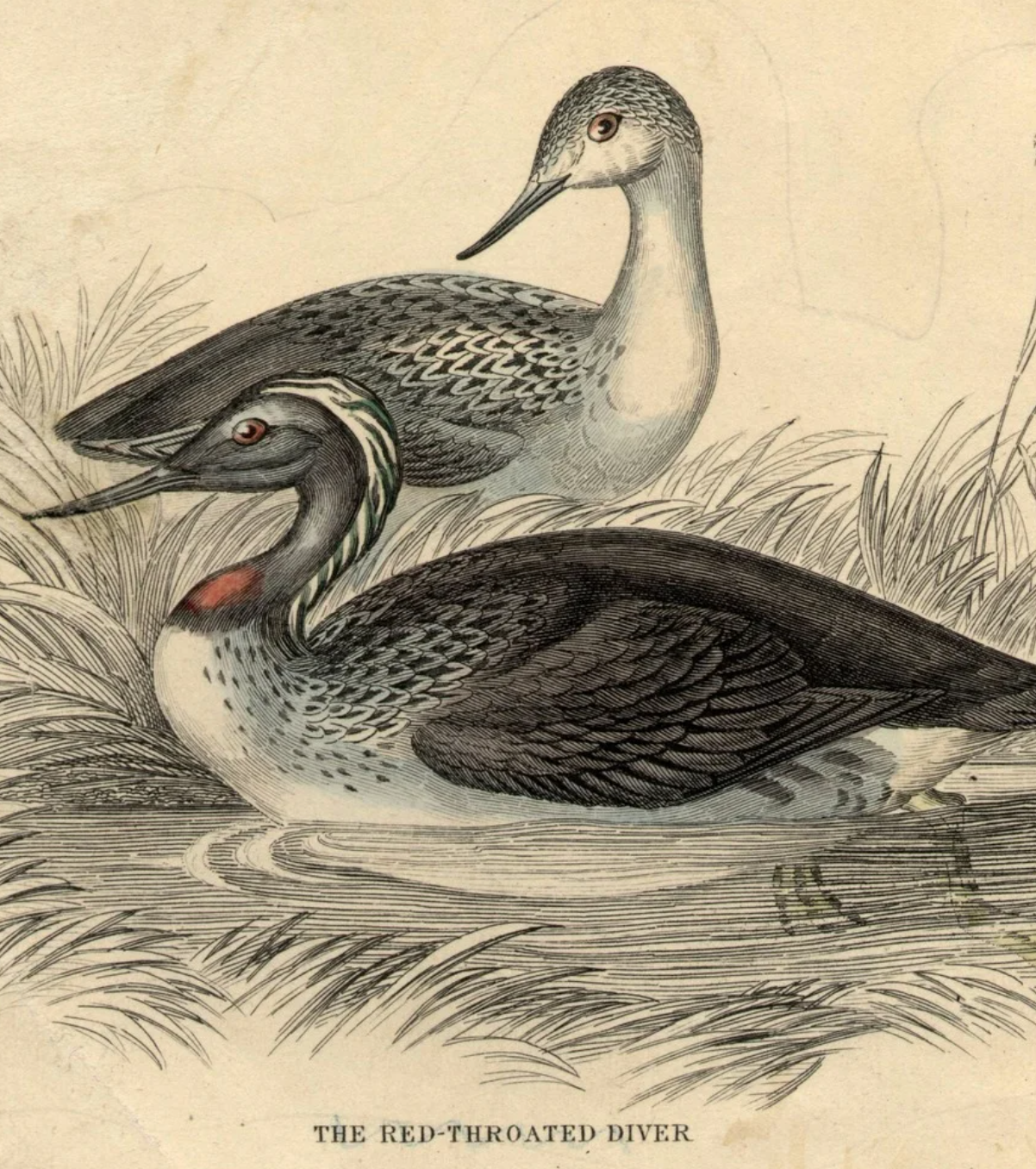 Collier Hall - Group B