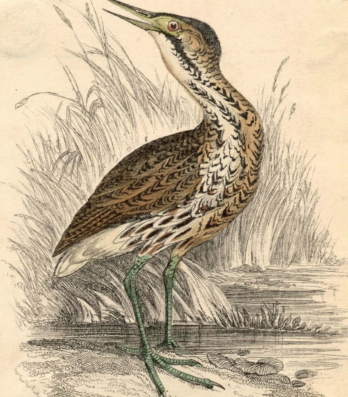 Collier Hall - Group C