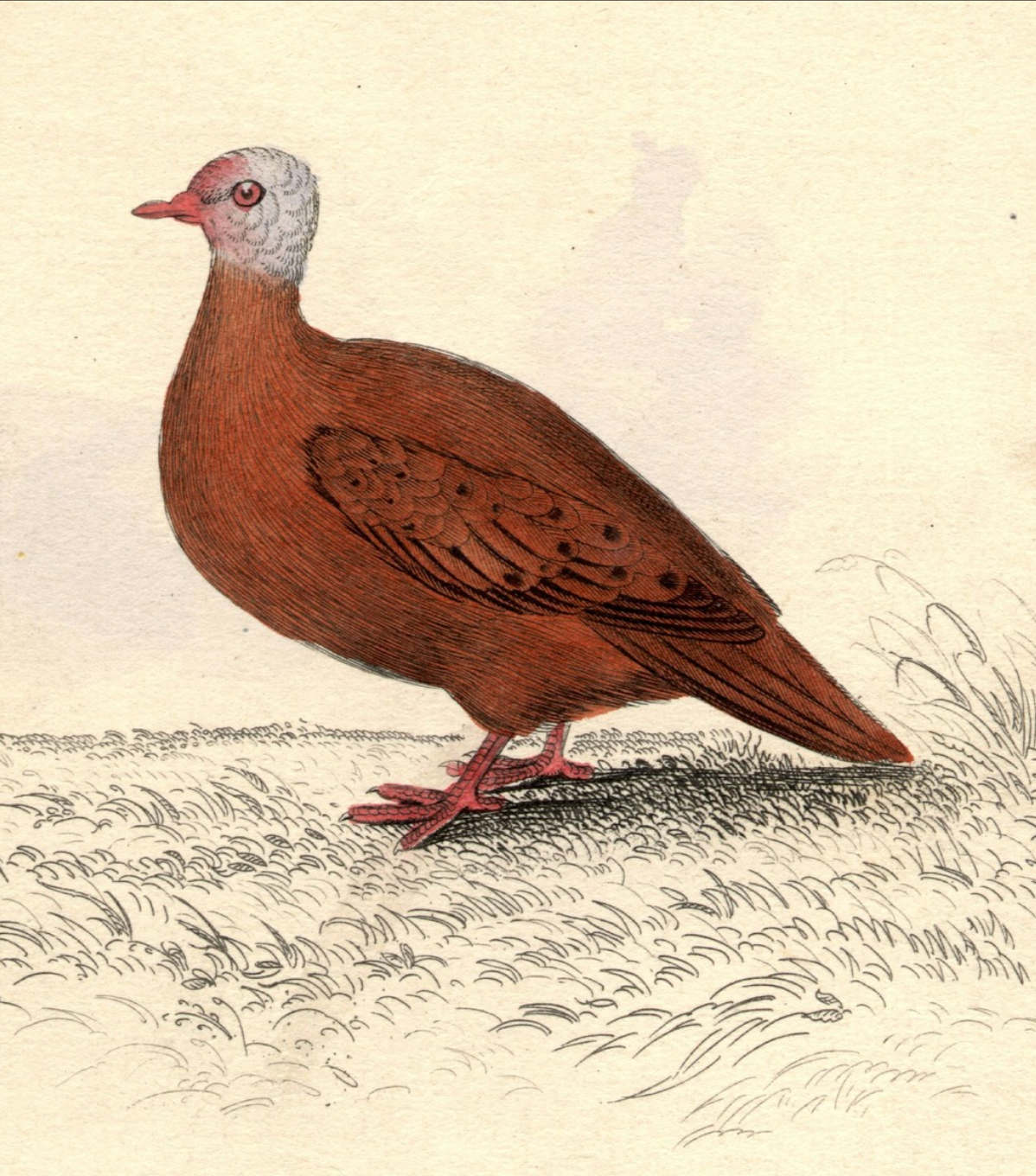 Collier Hall - Group E