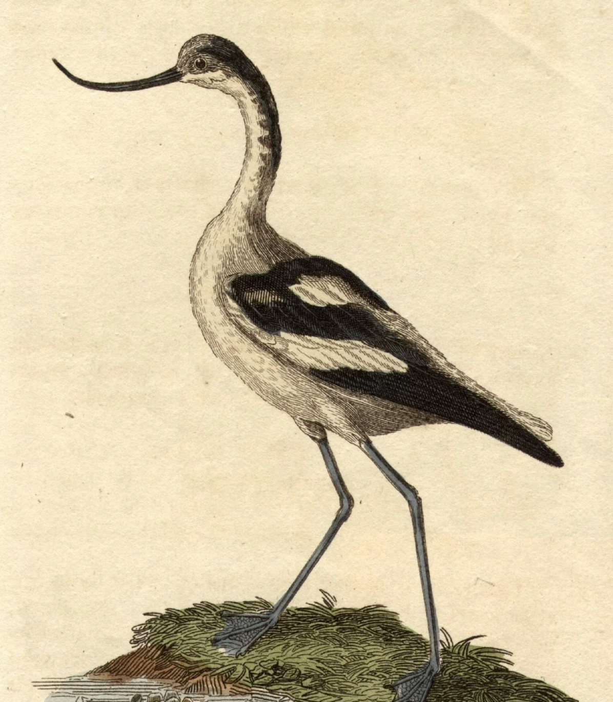 Collier Hall - Group F