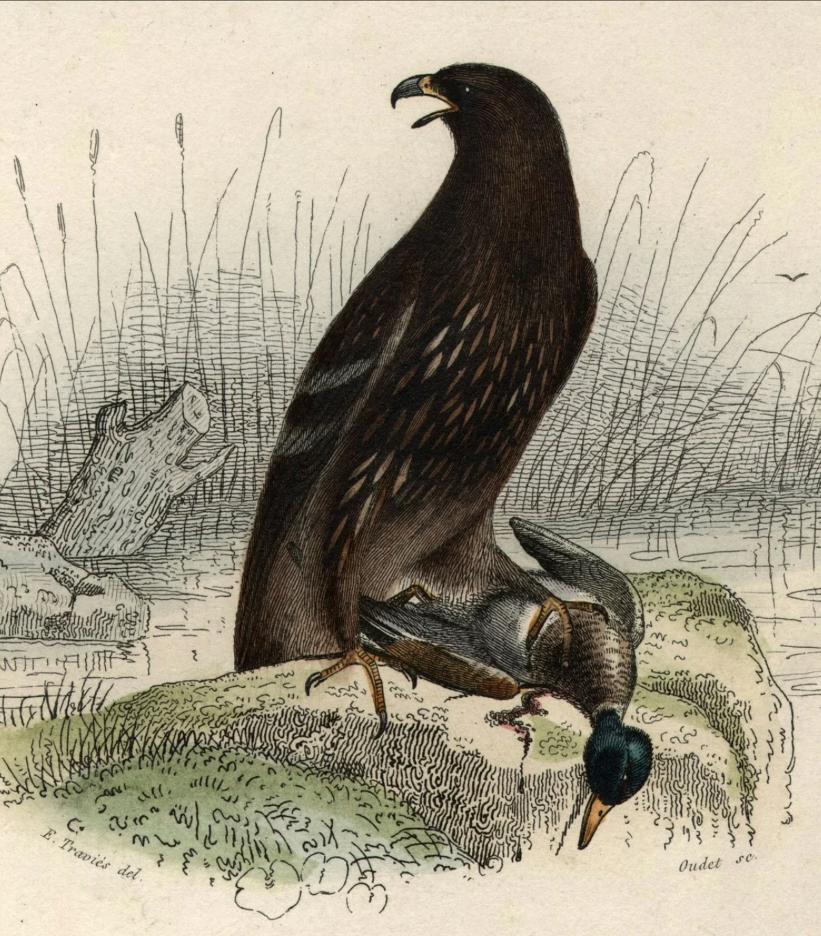 Collier Hall - Group G