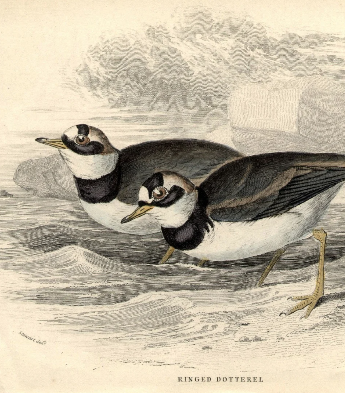 Collier Hall - Group H