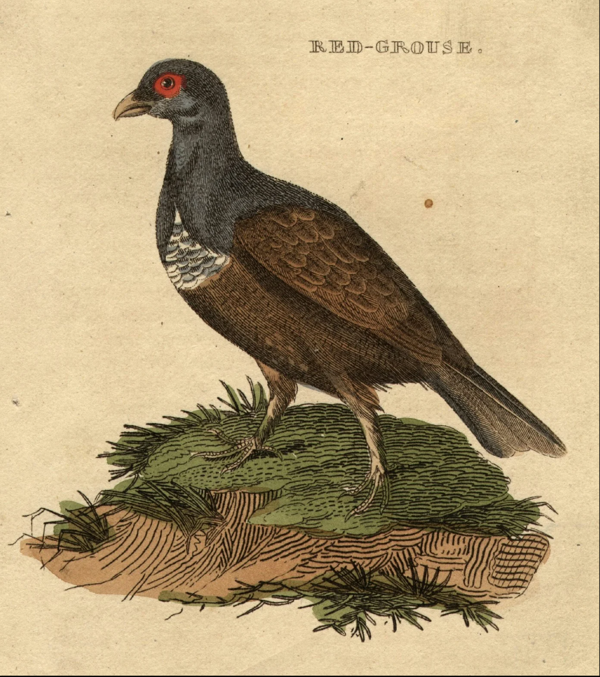 Collier Hall - Group I