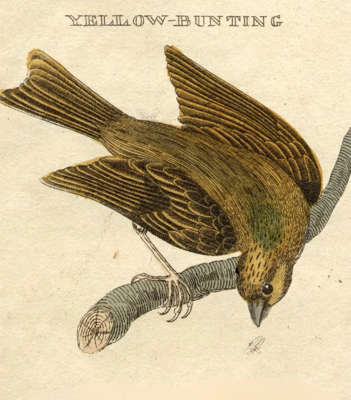 Collier Hall - Bars and Bar Backs