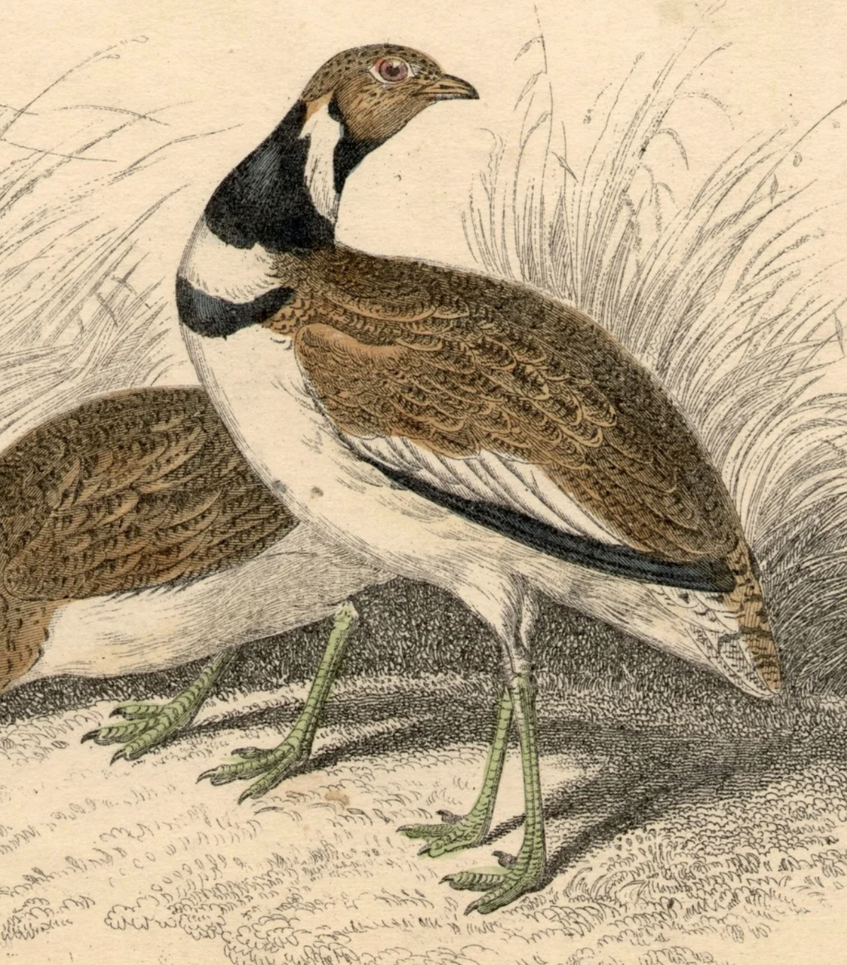 Collier Hall - Tables and Chairs